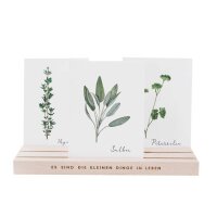 Karten- und Blumenständer aus Holz von Eulenschnitt,...