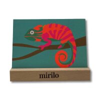Postkarte mit Cham&auml;leon Motiv